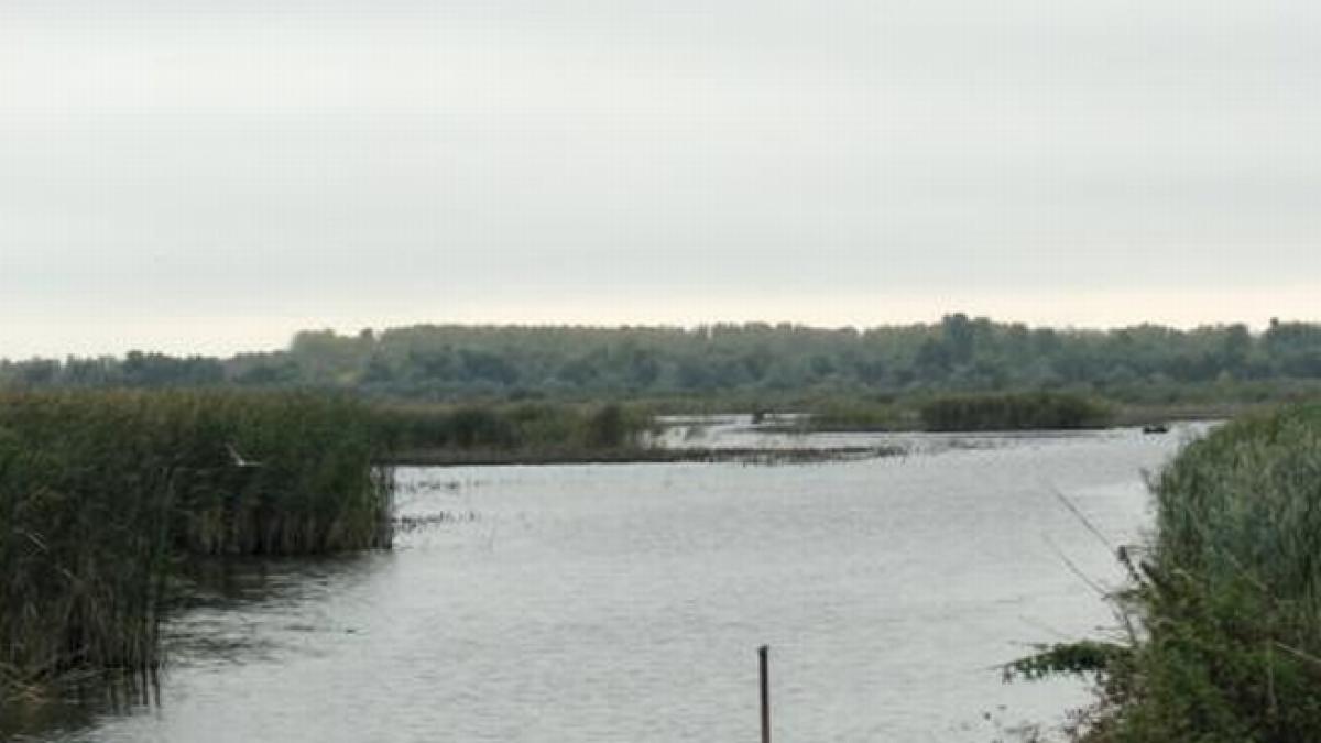 Patru persoane au murit înecate în lacul Murighiol