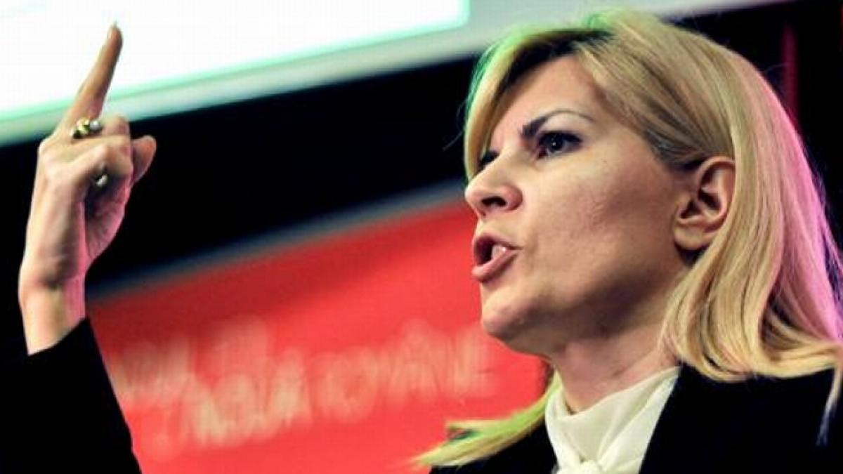 Elena Udrea: PNL încearcă acum desfiinţarea PDL, la fel cum a încercat PSD în 2003