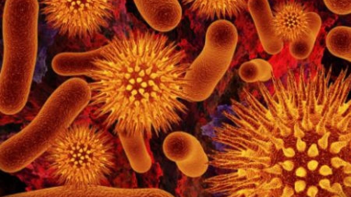 Bacteriile rezistente la antibiotice omoară mai mulţi oameni decât terorismul