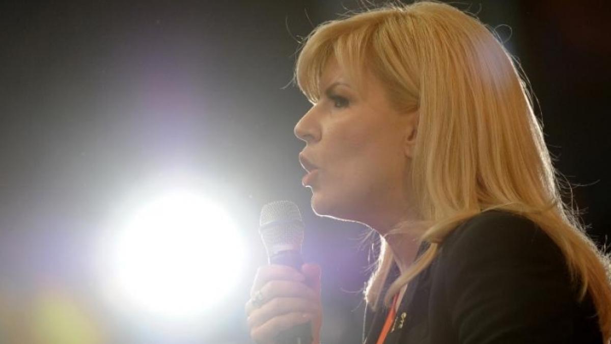 Elena Udrea contestă votul. Ar fi vorba de 300 de voturi în plus