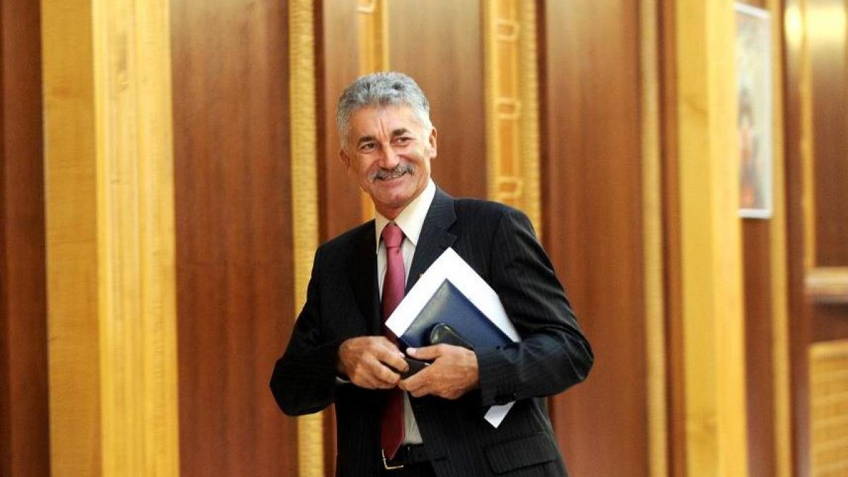 Oltean, după întâlnirea parlamentarilor PDL: Partidul are un preşedinte ales. Salut înfiinţarea &quot;Mişcării Populare&quot;