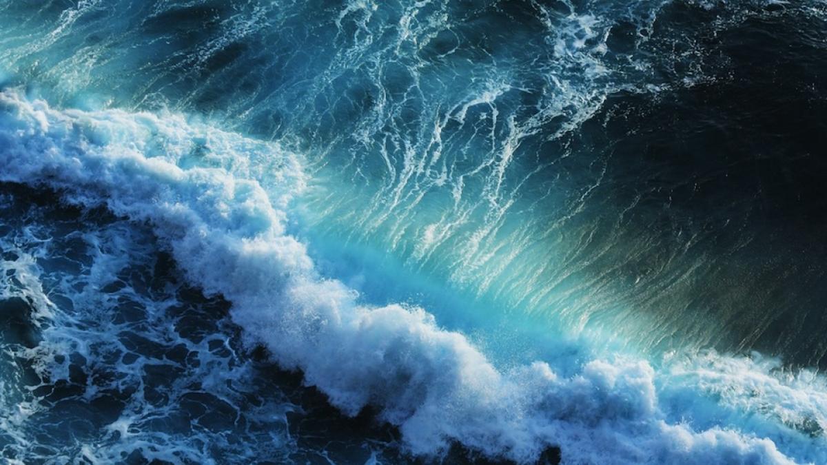 Un sfert de milion de americani, luaţi pe sus de TSUNAMI. Anunţul, făcut de Centrul American de Geofizică