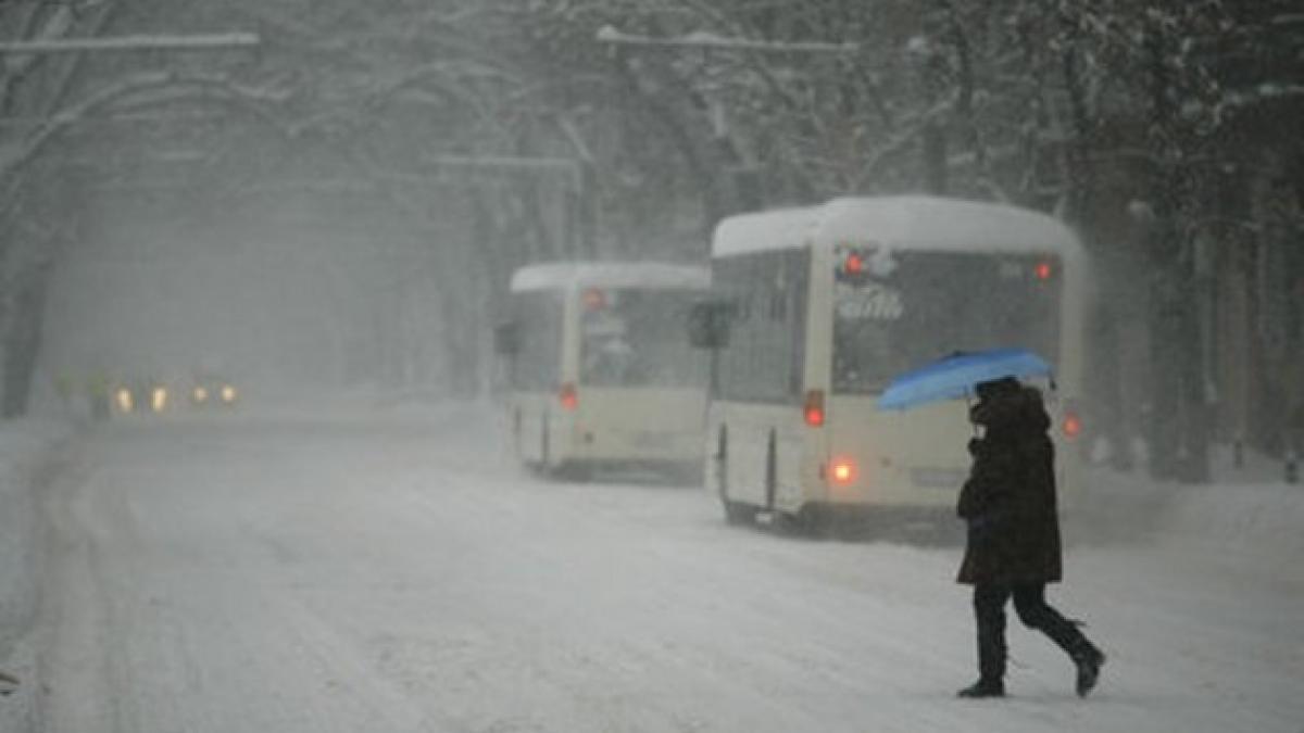 Ce a provocat îngheţul din această primăvară. Cercetătorii pun asta pe seama unui fenomen PERICULOS