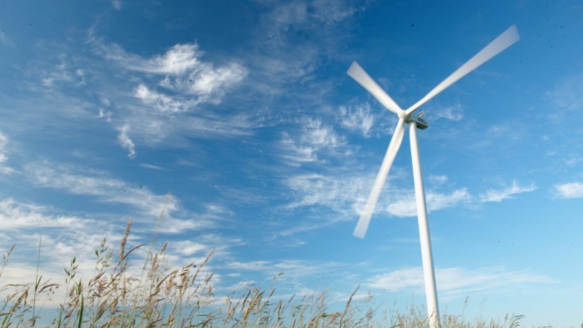 Crearea unui viitor verde pentru Romania - Vestas in prima linie a energiei eoliene