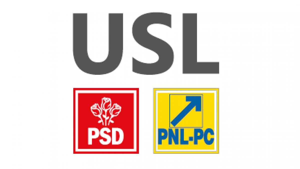 Unde greșește Uniunea Social Liberală