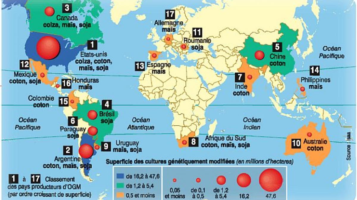 Americanii vor să ne bage pe gât alimente MODIFICATE GENETIC. &quot;Sunt sigure şi de bună calitate&quot;