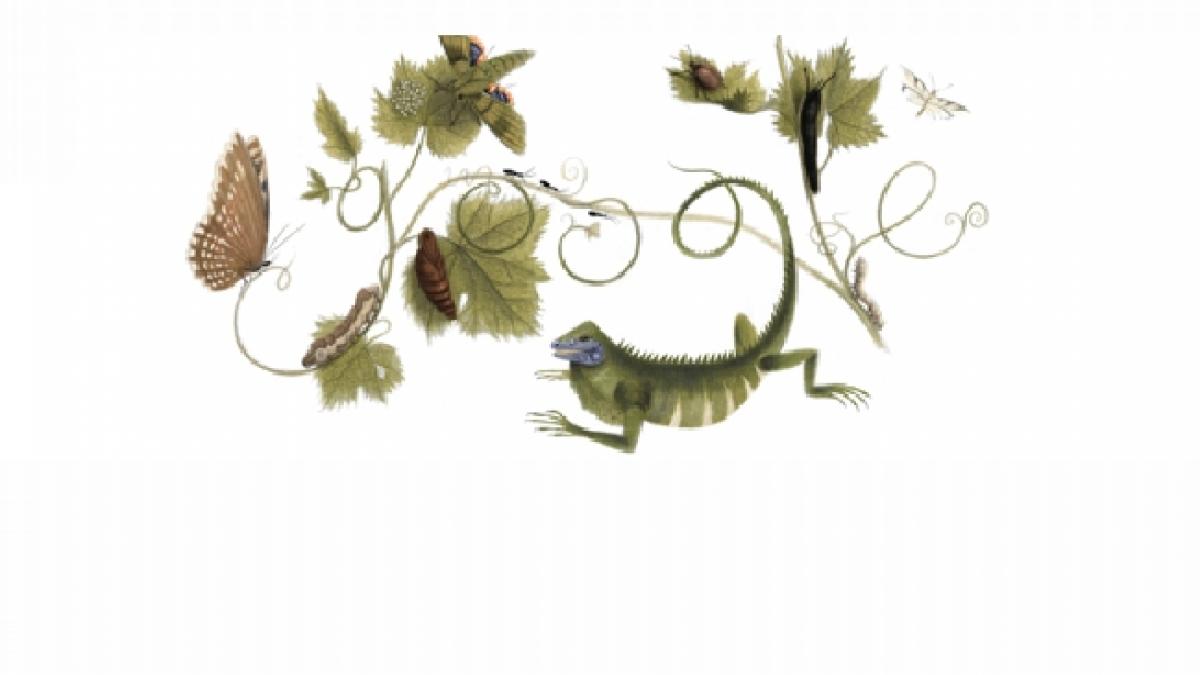 Botanista Maria Sibylla Merian, sărbătorită de Google printr-un logo special 