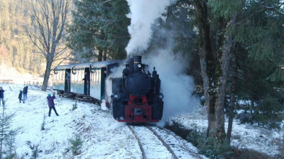 Mocăniţa nu mai are pe ce să meargă. Zece bucăţi de şină au fost furate