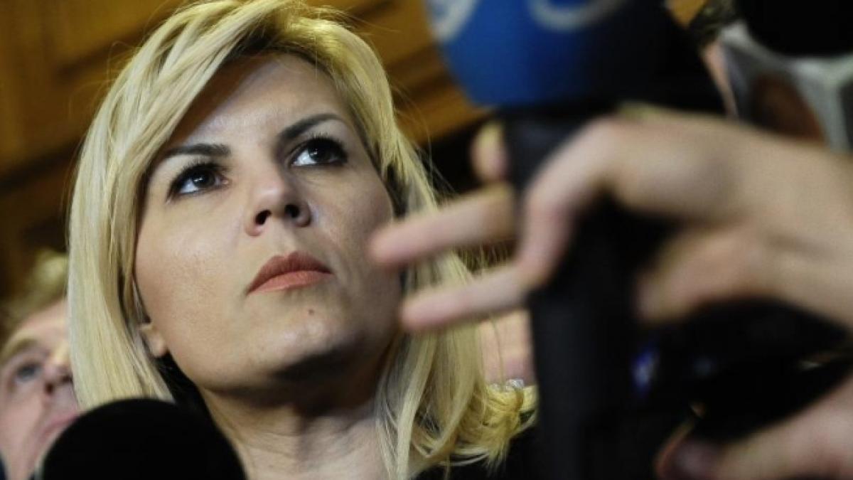 Elena Udrea remarcă respectul, solidaritatea şi onoarea arătate de PSD faţă de Ion Iliescu