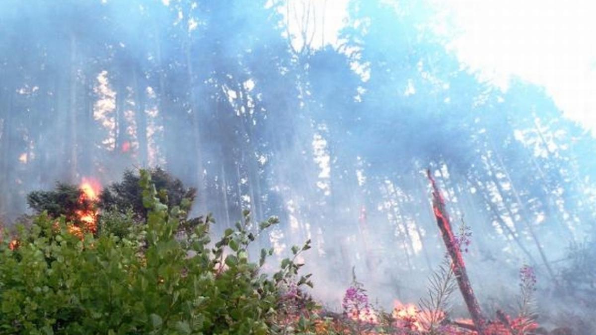 Incendiu puternic într-o localitate dâmboviţeană: Flăcările depăşeau câţiva metri în înălţime