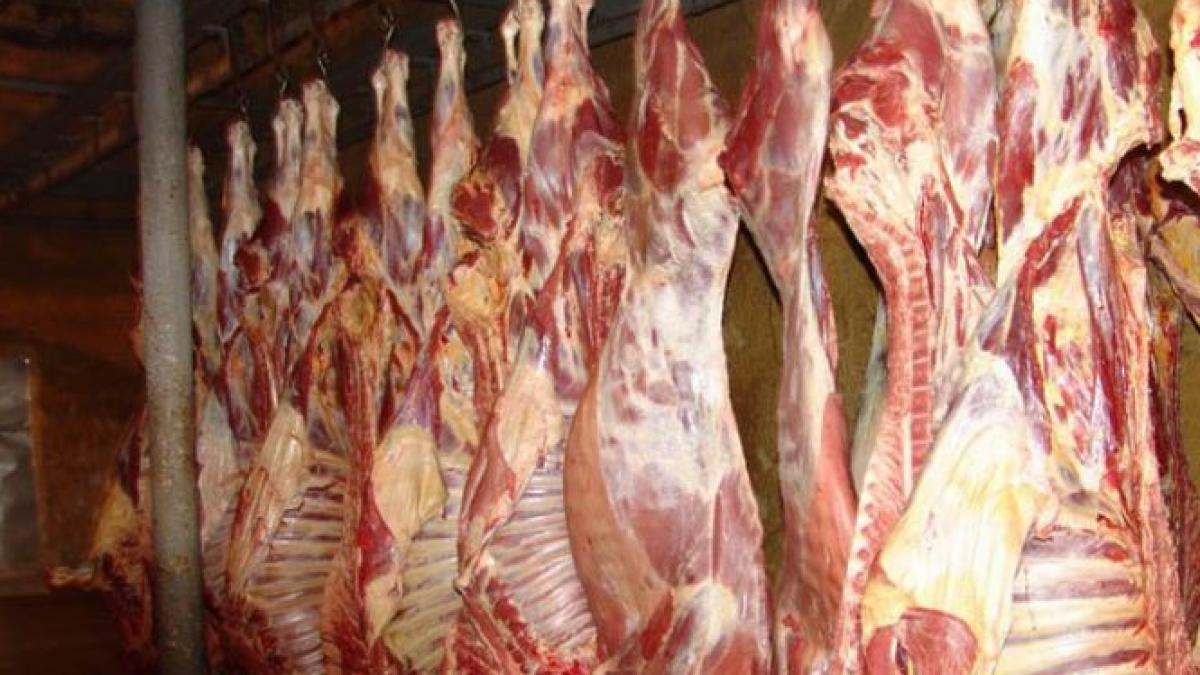 Pericol alimentar. Peste o tonă jumătate de carne de miel, confiscată de inspectorii sanitari