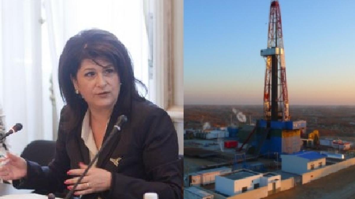 Rovana Plumb: Explorarea gazelor de şist nu prezintă niciun risc în privinţa protecţiei mediului