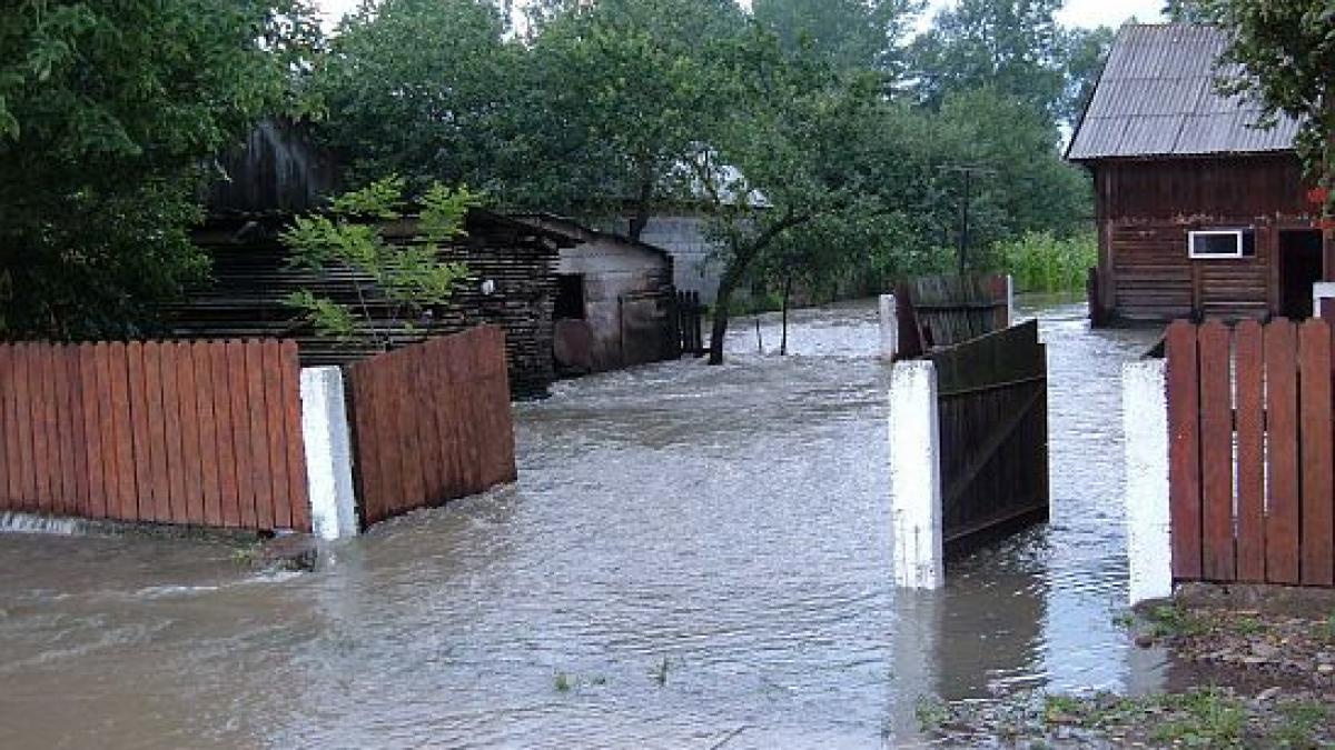 A plouat într-o oră cât într-o lună. Zeci de gospodării inundate în Suceava. &quot;Apa ajungea până la pervazul casei&quot;