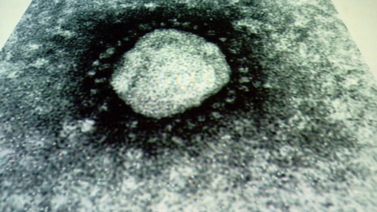 Noul coronavirus a fost depistat în Europa. OMS: &quot;Nu sunt motive de panică&quot;