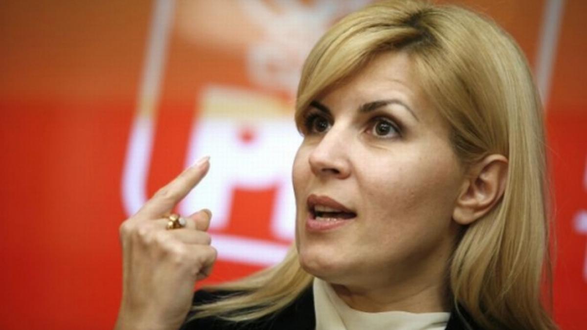 Udrea: PDL nu face opoziţie. &quot;Din păcate, nu e prea vizibil ce face partidul&quot;