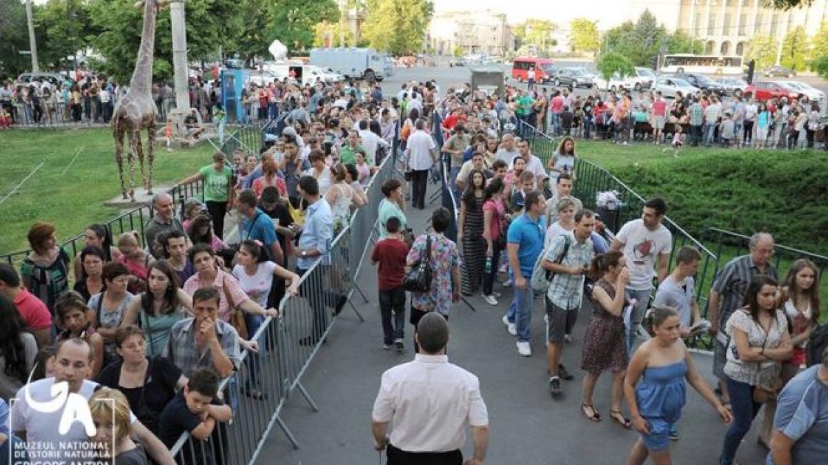 Noaptea Muzeelor, un succes pentru instituţii. Aproape 20.000 de persoane au vizitat Muzeul Antipa