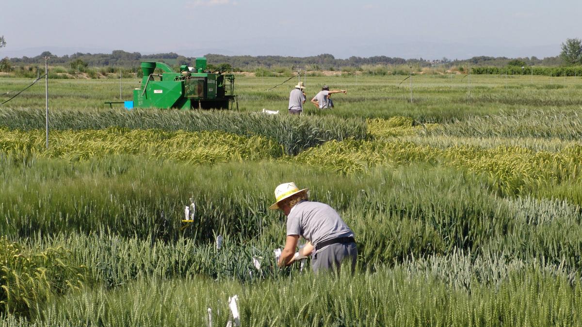 Cioloş: Subvenţii cu 20% mai mari pentru fermierii care arendează terenurile agricultorilor activi