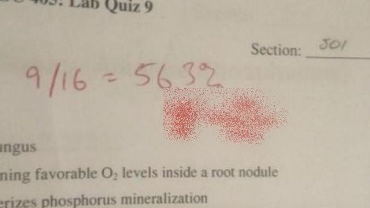 Dăduse lucrare scrisă la chimie, dar a rămas cu gura căscată când a văzut mesajul scris de profesor pe foaie