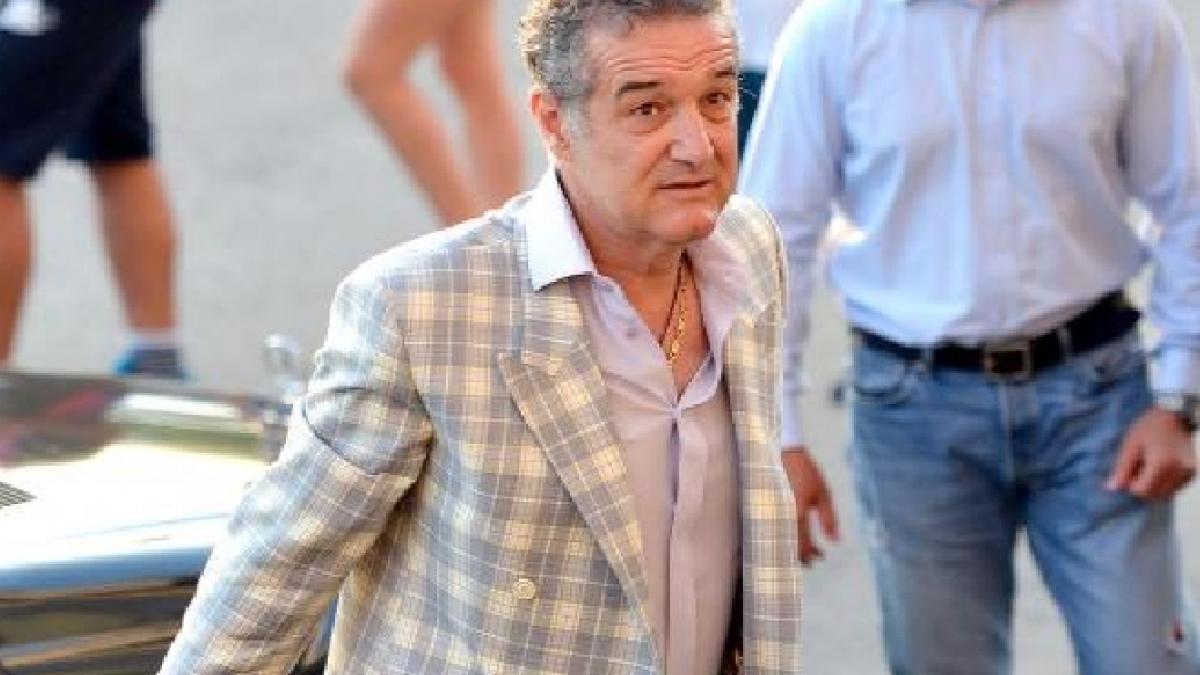 Salvarea lui Gigi Becali trenează la Senat. Proiectul de lege care l-ar putea scoate pe afacerist de la închisoare