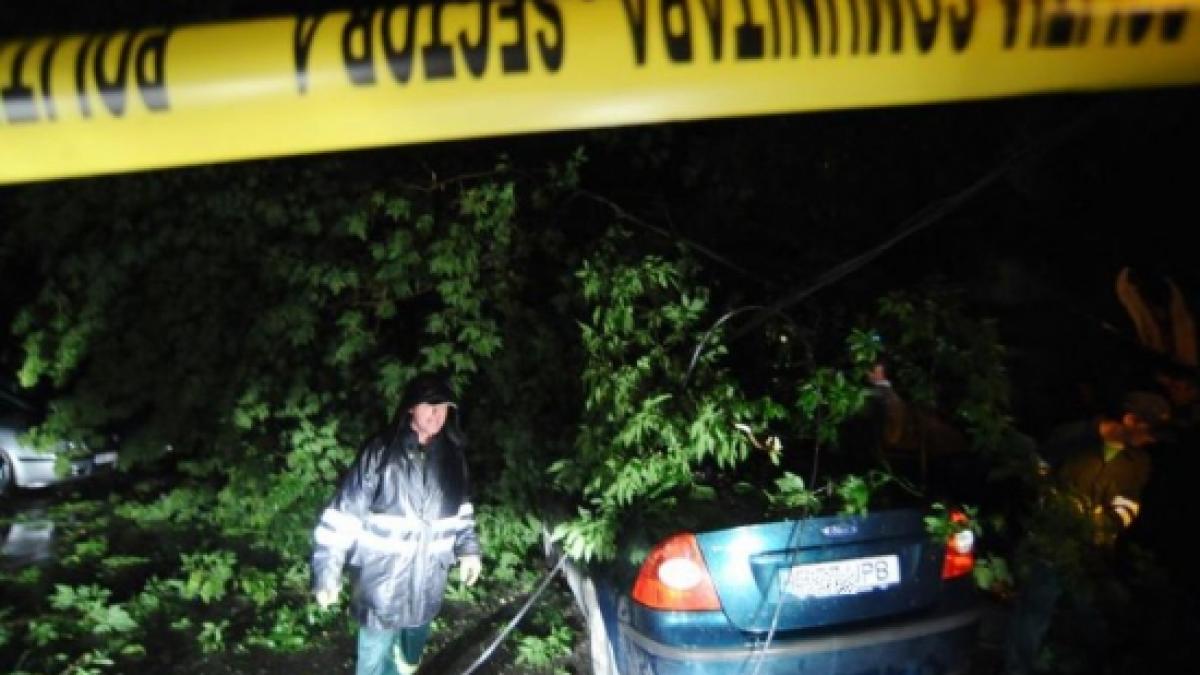 Trafic rutier blocat, copaci smulşi din rădăcini, maşini avariate. Vezi cum va fi vremea