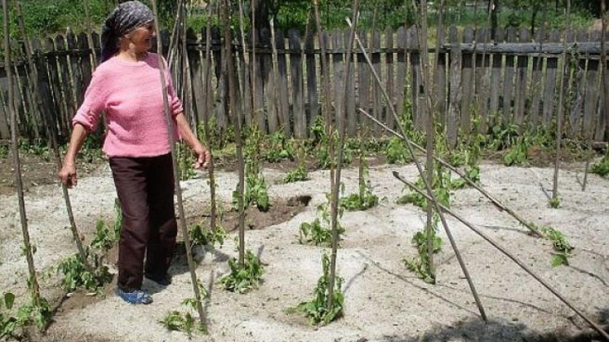 &quot;Niciodată n-a mai fost aşa ceva în România&quot;. Grindina măsura 25 de cm pe străzi, la 2 ore după terminarea furtunii