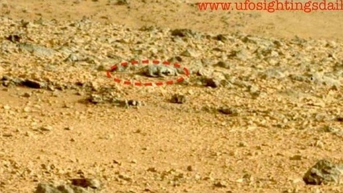 Descoperire ULUITOARE făcută de roverul Curiosity pe Marte. &quot;Este o rozătoare, fotografiată printre roci&quot;