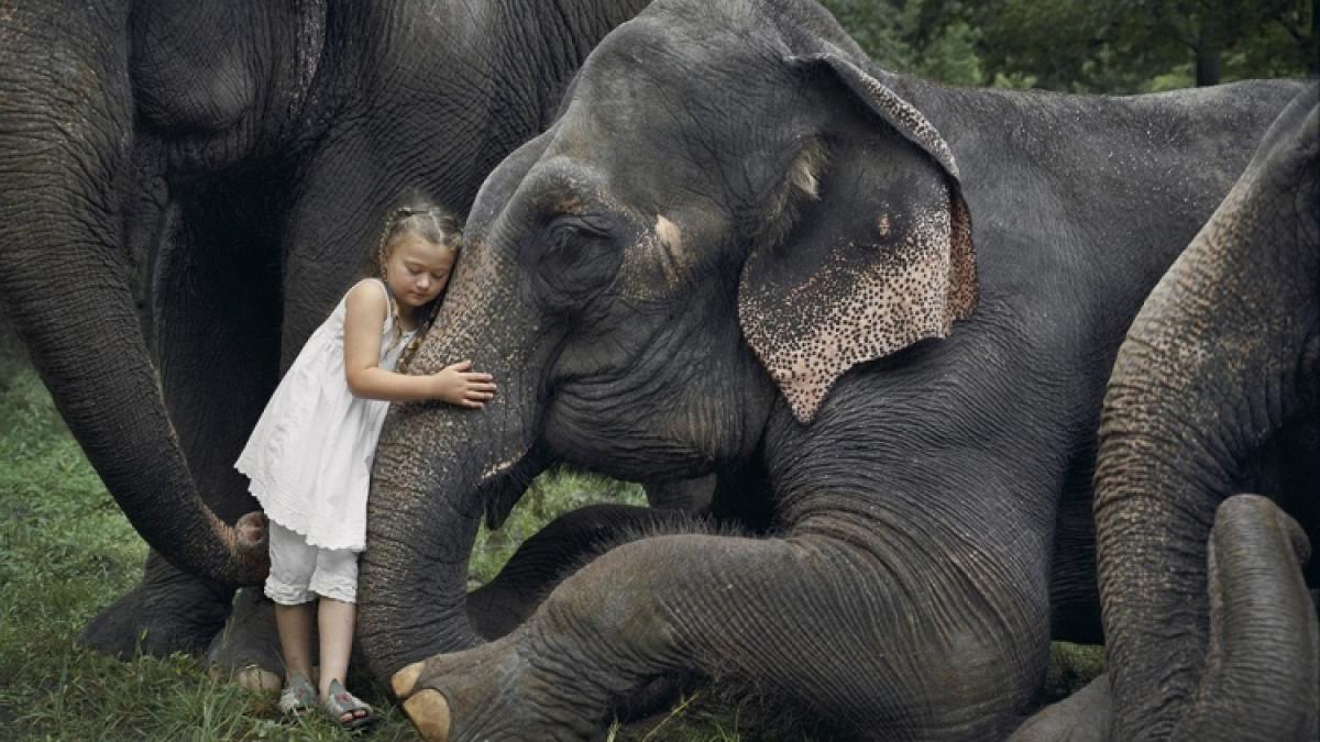 Lumea Ameliei. Povestea fotografiilor care au rupt toate barierele între om şi animal