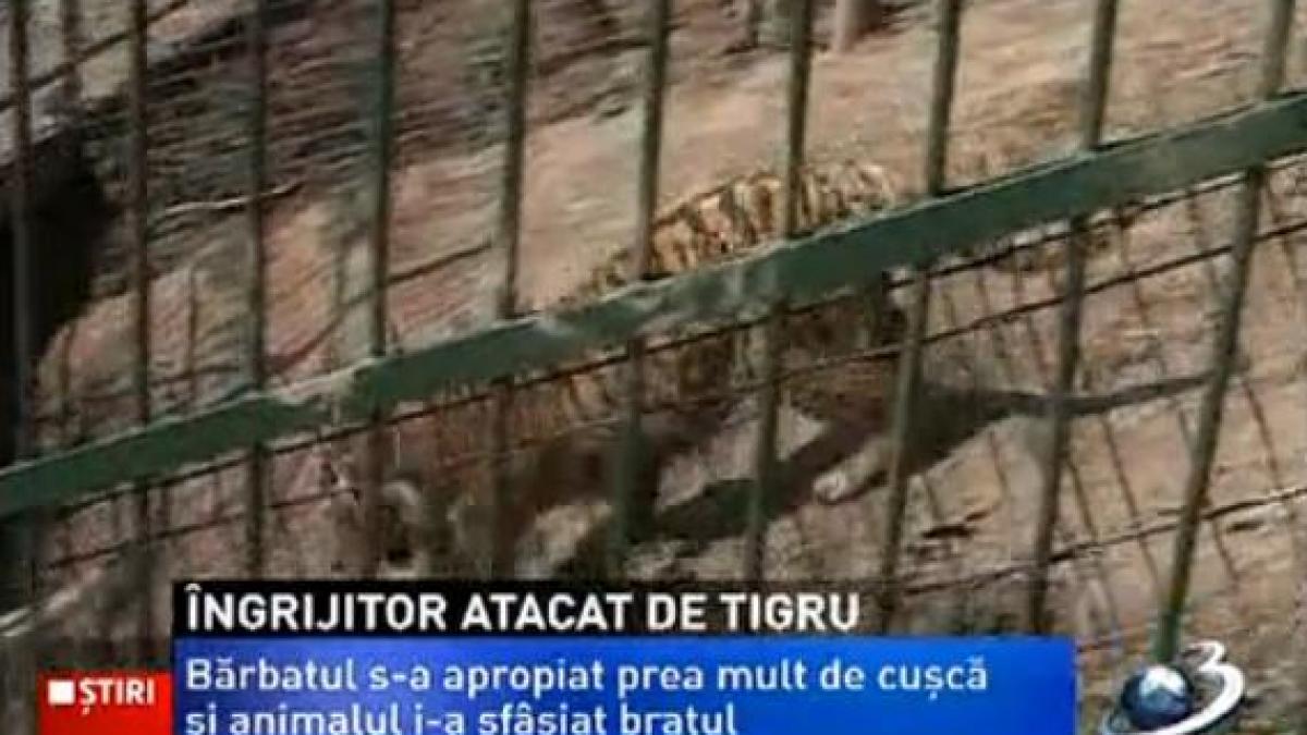 Bărbatul care a fost atacat de un tigru la Grădina Zoologică din Braşov a rămas fără un braţ. Medicii au fost nevoiţi să-i amputeze membrul