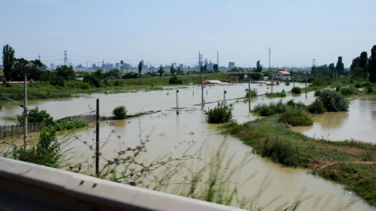 Hectare întregi de culturi agricole mustesc de apă. Oamenii se uită neputincioşi către ceruri