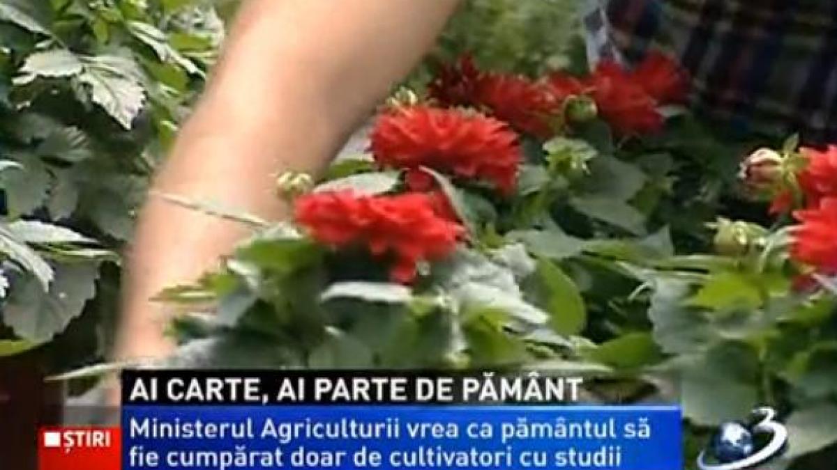 Ministerul Agriculturii vrea ca pământul să fie cumpărat doar de cultivatori cu studii