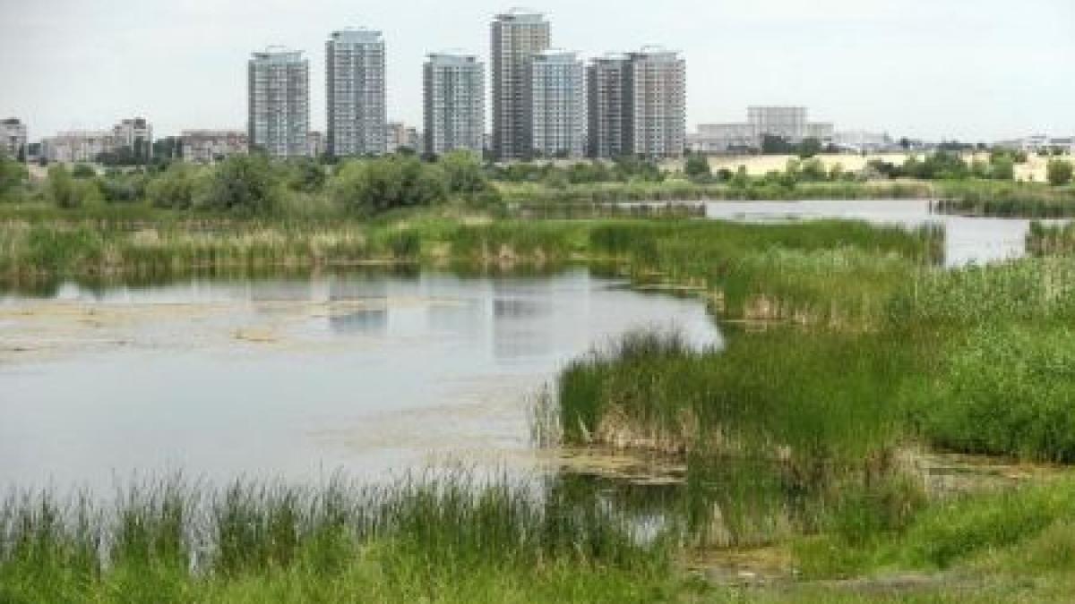 Bucureştiul intră pe lista capitalelor care deţin rezervaţii naturale: Delta Văcăreşti va deveni arie protejată