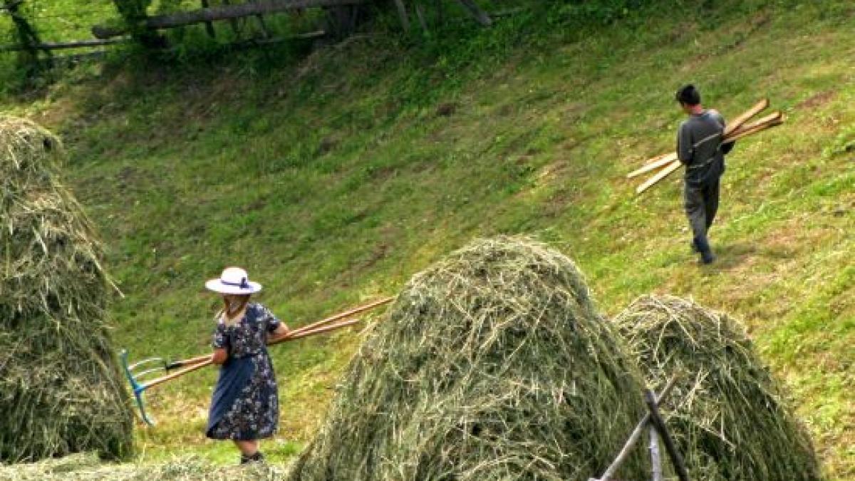 Vremea va fi uşor instabilă. Vezi PROGNOZA METEO pentru weekend