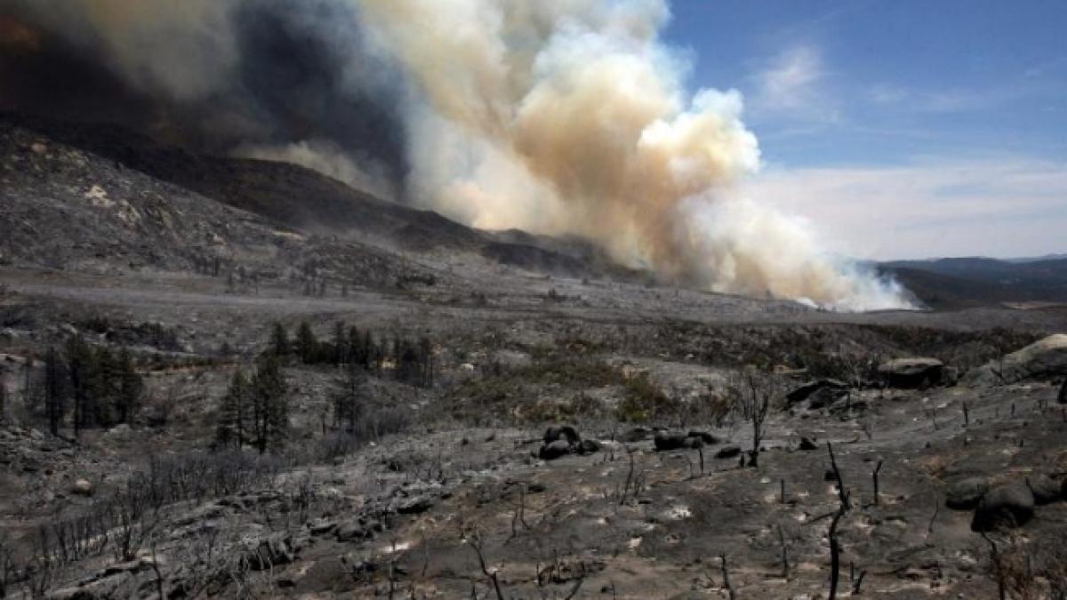 Incendiu de pădure lângă un sit arheologic din insula Creta