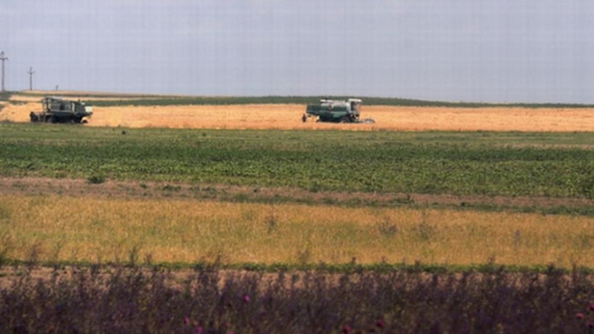 Agricultura salvează România. Avem recolte-record în acest an