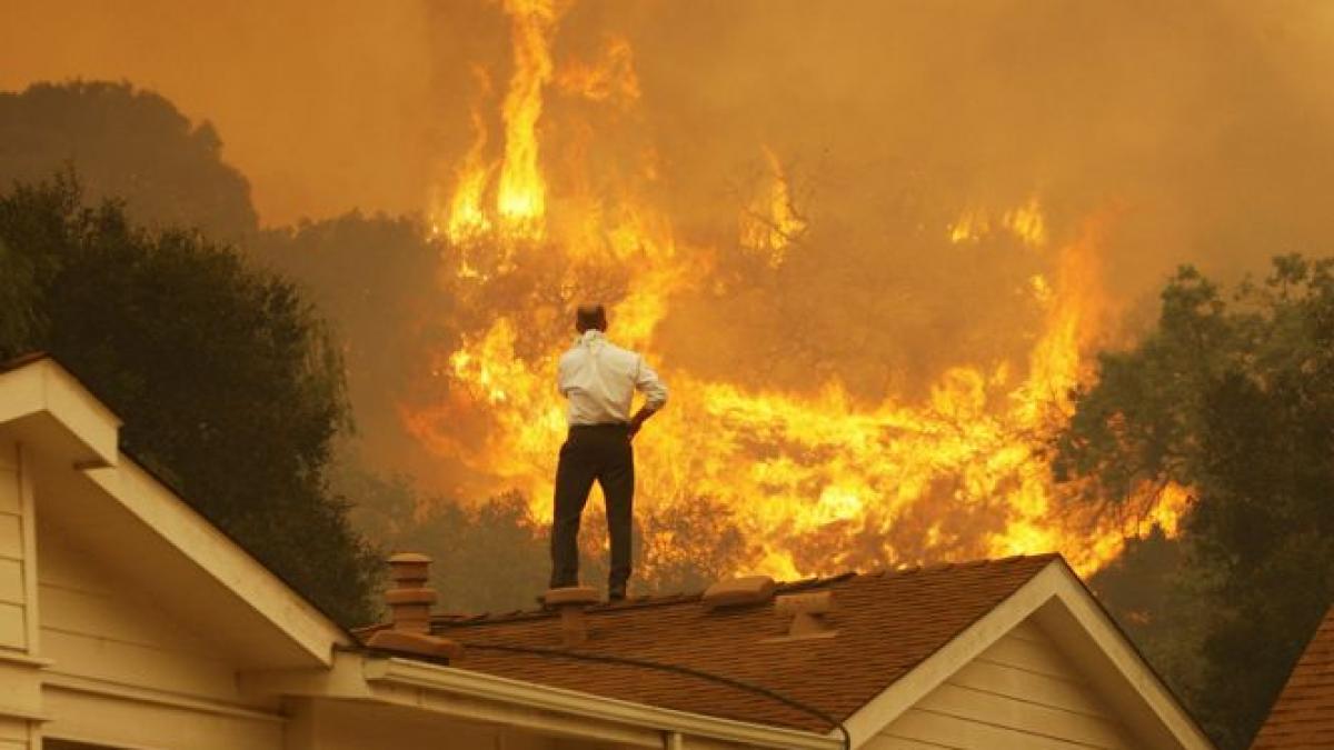 Incendii de vegetaţie în Bulgaria. Autorităţi: pagubele materiale sunt semnificative