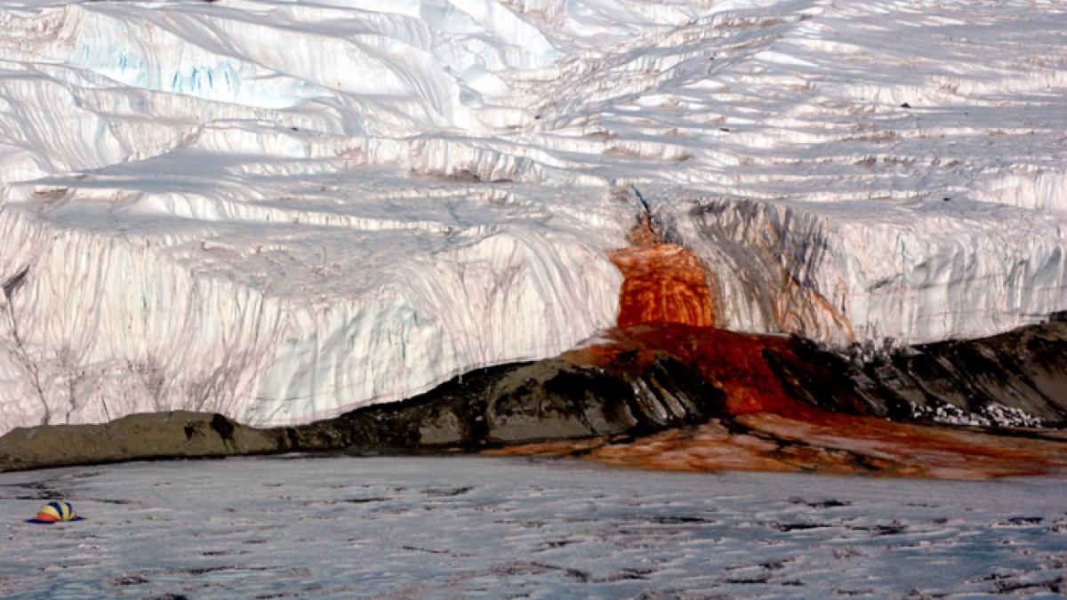 Fenomen incredibil în Antarctica. &quot;Filmat de sus pare o cascadă de SÂNGE&quot;