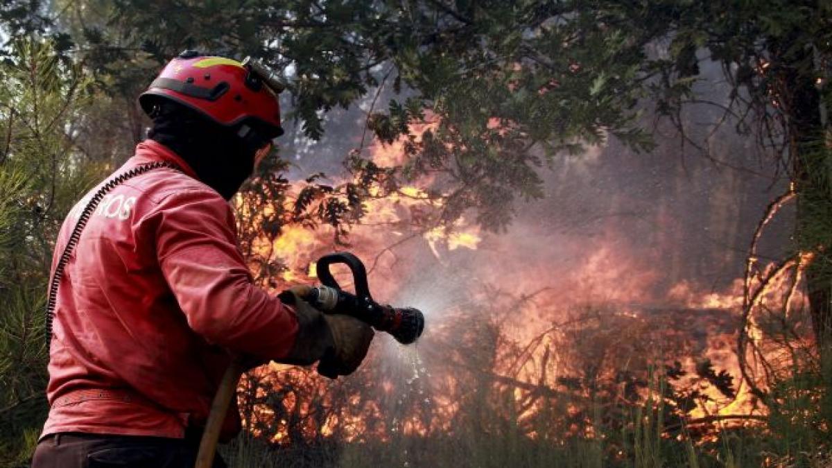 Puternice incendii de pădure în Portugalia: Peste 850 de pompieri, în luptă cu flăcările