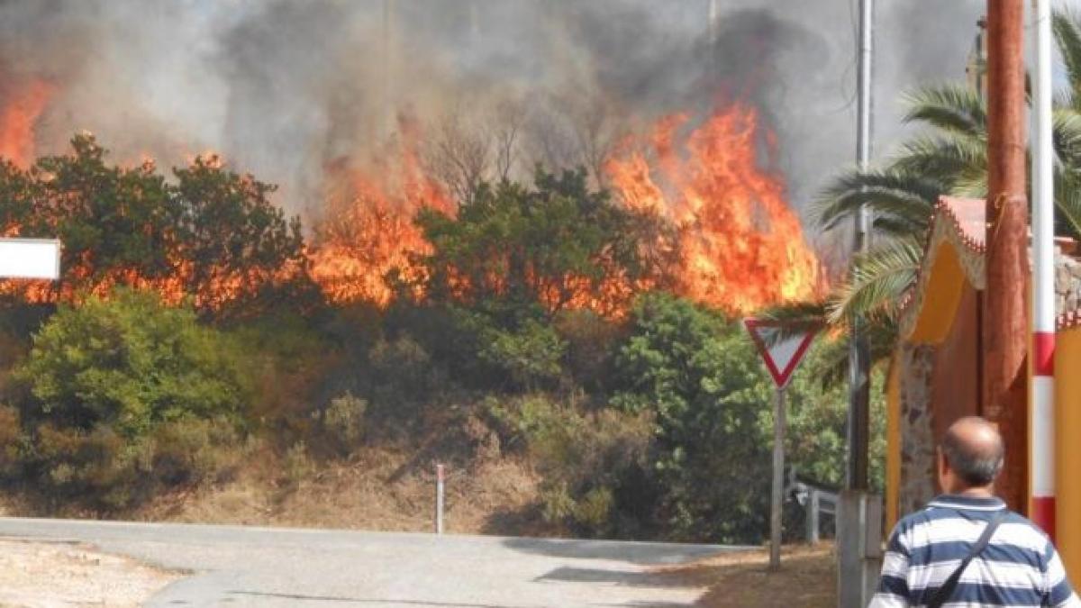 Incendii în serie, pe continentul european. Pompierii mor în lupta istovitoare cu focul