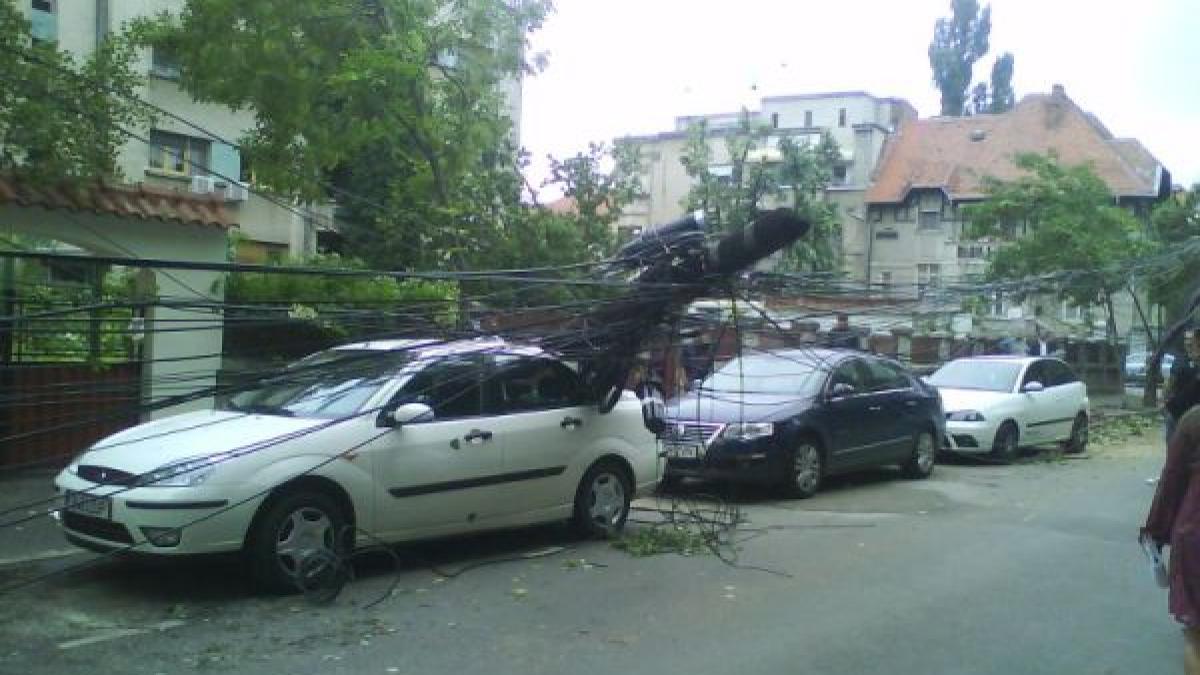 Vijelie în Vaslui. Mai multe localităţi au rămas fără curent electric