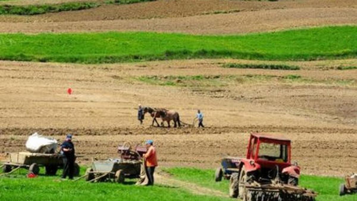 Sărăcia apasă România. Tinerii se mută de la oraş la ţară