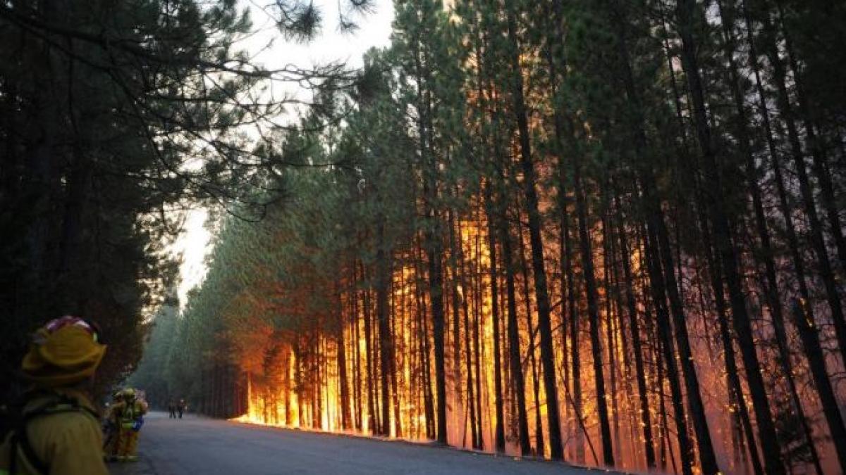 Incendiile de pădure din California se intensifică. Flăcările ameninţă oraşele din zonă