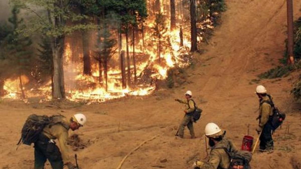 Unul dintre cele mai cunoscute parcuri naturale din America s-a transformat într-un infern. 90.000 de hectare de vegetaţie, distruse de flăcări