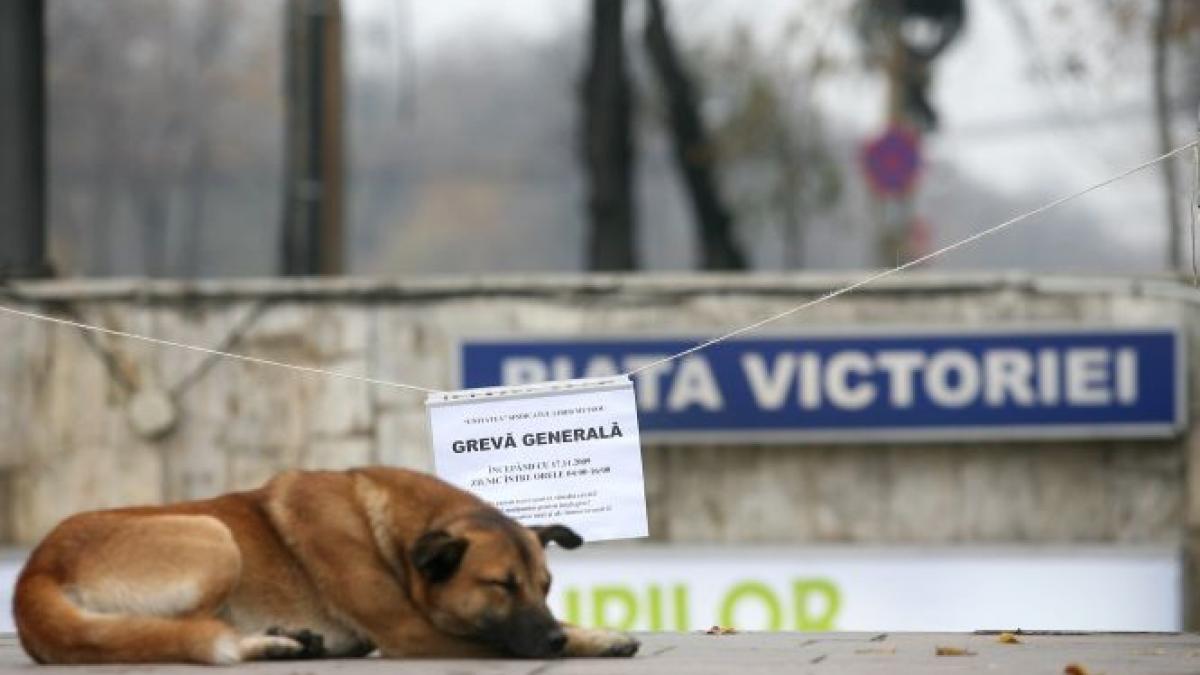 GREVĂ la METROU şi RATB. Sindicaliştii vor protesta joi la sediul Guvernului