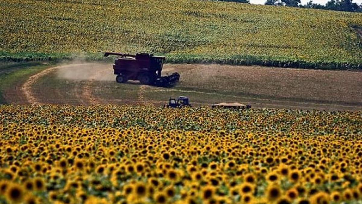 Proiect de lege: Persoanele fizice nu vor putea deţine mai mult de 100 ha teren agricol extravilan