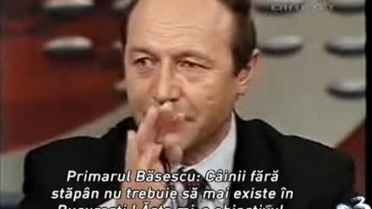 Traian Băsescu, în 2001: Obiectivul meu este să nu mai existe câini fără stăpân în Bucureşti şi o să-l realizez