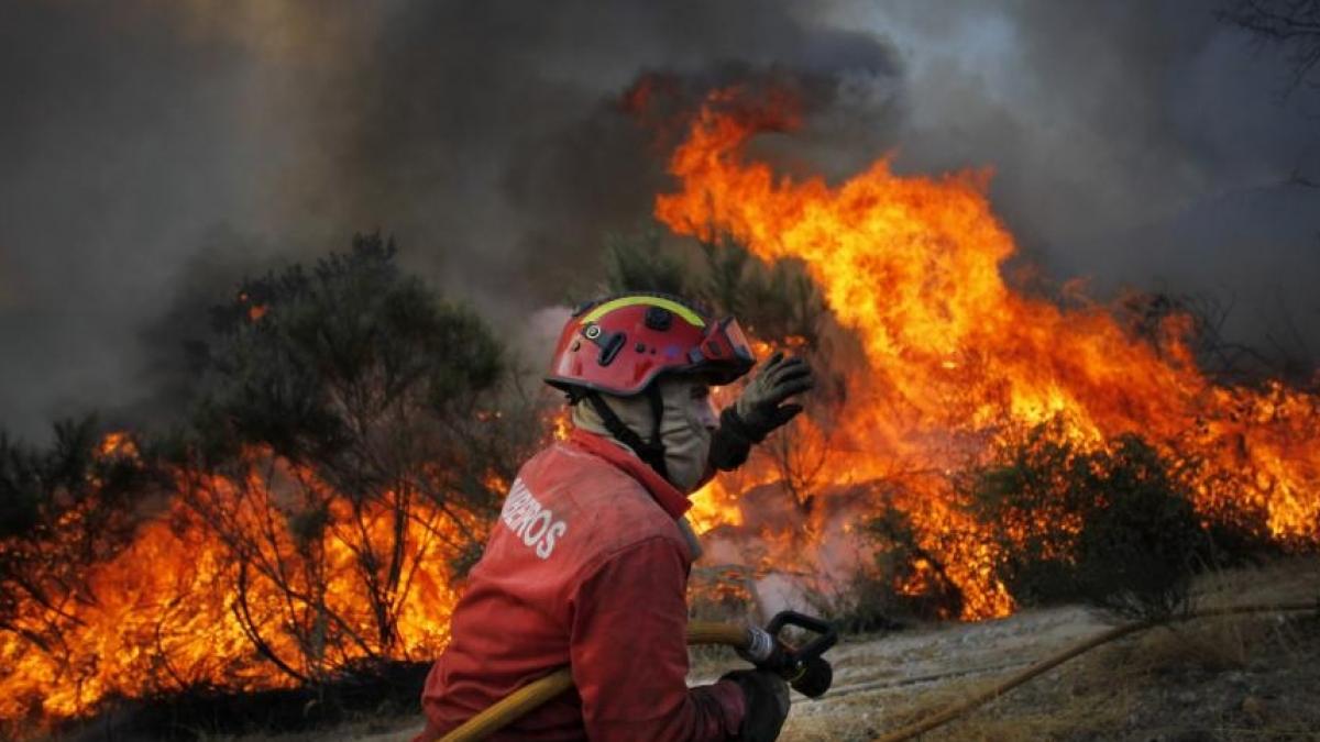 Tragedie în Portugalia! Şapte pompieri au murit în lupta cu incendiile de pădure