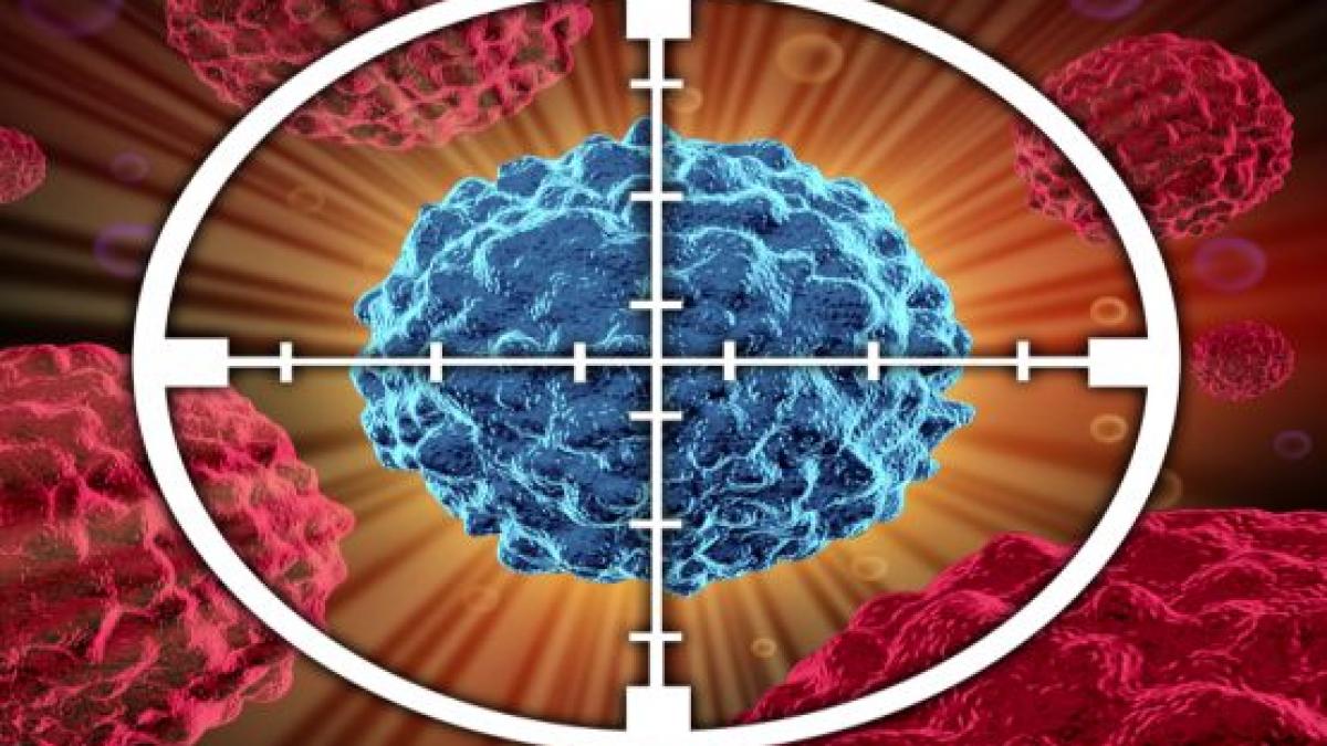 STUDIU: Bacterie modificată genetic, capabilă să distrugă celulele canceroase