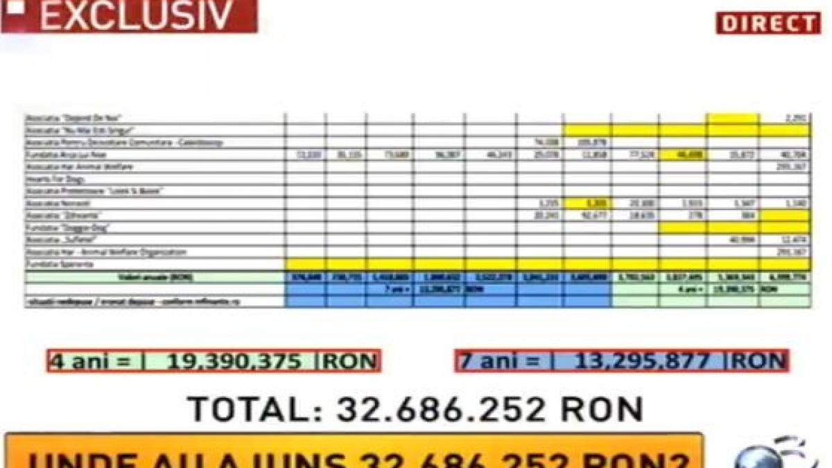 Sinteza zilei: Peste 32 de milioane de lei, în 11 ani - bani cheltuiţi pentru rezolvarea problemei câinilor comunitari