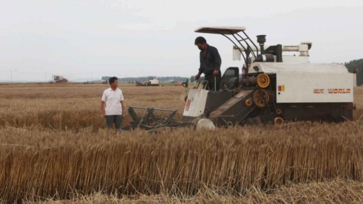 China demarează CEL MAI MARE PROIECT AGRICOL DIN LUME