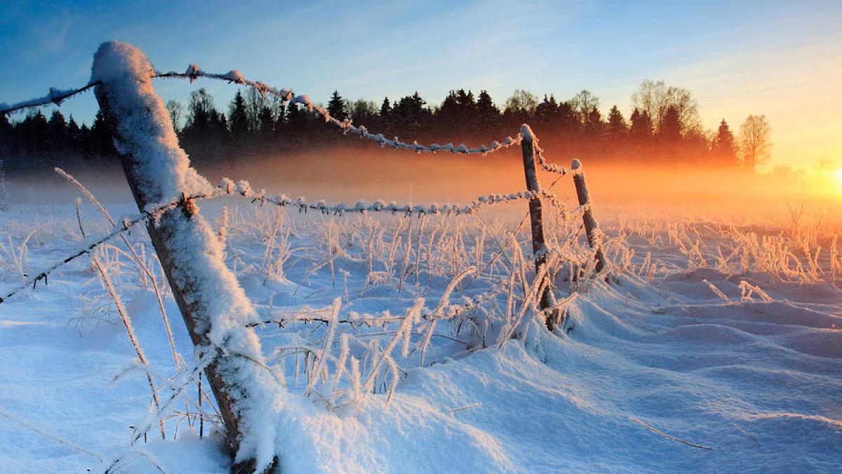 NINSORI abundente în România. Vezi prognoza meteorologilor pentru trei luni